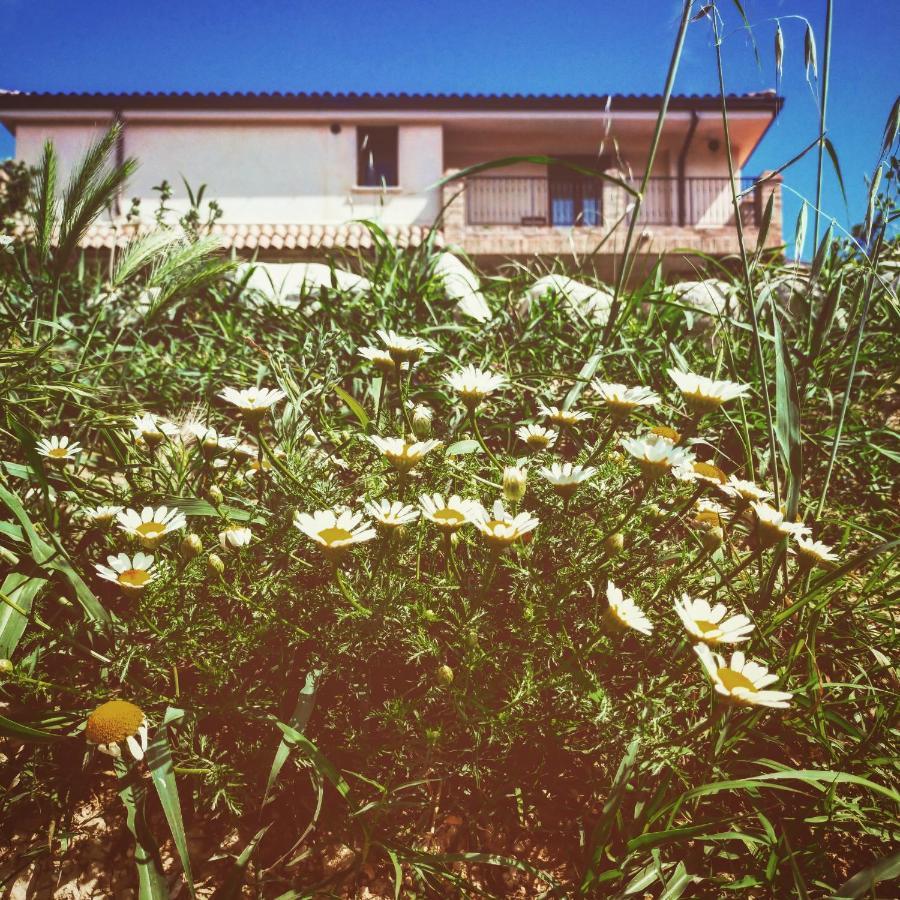 Casale Del Sole Cepagatti Exterior foto